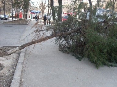 Ուժեղ քամի