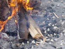 Այսօր Տեառնընդառաջն է