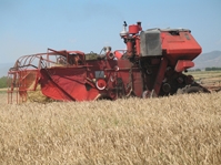 Հ. Բերբերյանը նորանշանակ գյուղնախարարի հայտարարությանը միանշանակ չի վերաբերվում