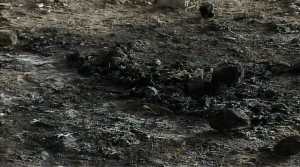 Այրված դիակի ինքնությունը պարզվել է 