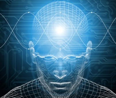 Ամերիկացի գիտնականները հայտնաբերել են ուղեղի՝ դավաճանության համար պատասխանատու հատվածը