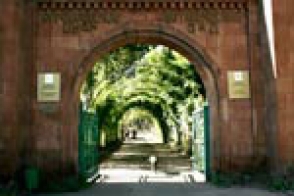 ՍՕՍ. «Բուսաբանական այգում առողջ բարդիներ են կտրում»