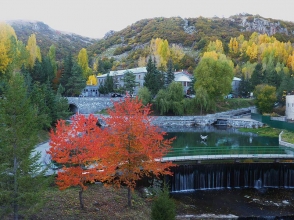 Ամուլսարի նախագիծը` կենսաբանների աչքերով