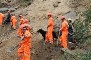 Վայոց Ձորում մեքենան գլորվել է ձորը. կա 2 զոհ