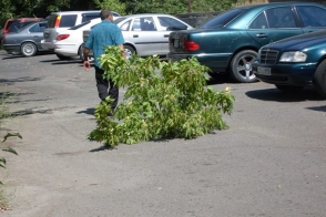 Մի «Ճյուղի» պատմություն «Քանաքեռ-Զեյթուն» բժշկական կենտրոնում (ֆոտո)