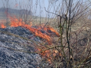 Հրդեհներ խոտածածկ տարածքներում