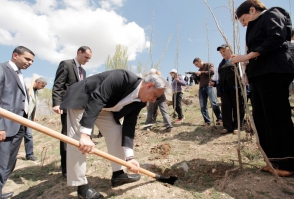 Ծառերը ջրելու մենաշնորհը (տեսանյութ, ֆոտո)