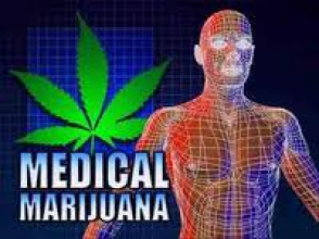 Власти Грузии рассматривают вопрос легализации марихуаны