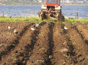 Արմավիրցու մոտ հողի հարկի ու ոռոգման ջրի վարձերի սառեցումը տարակուսանք է առաջացնում