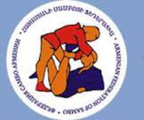 Մրցաշրջան 2013թ.-ի տասը լավագույն սամբիստները