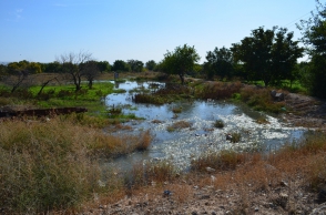 Նորից կոլեկտորի վթար, և նորից Չարբախում