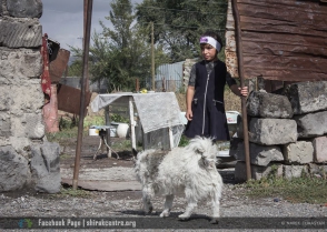 «Շիրակ կենտրոնի» հրապարակային հարցումը ՀՀ բարձրագույն իշխանություններին անօթևան ընտանիքներին բնակարաններով ապահովելու ընթացքի մասին