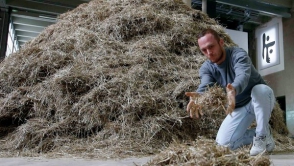 Итальянский художник два дня потратил на поиск иголки в стоге сена