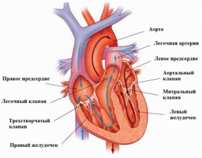 Հունվարի 1-ից մեկնարկում է սրտի անհետաձգելի վիրահատության ծրագիրը