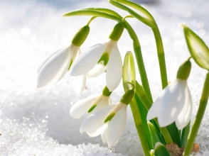 Օդի ջերմաստիճանը կբարձրանա 8-10 աստիճանով