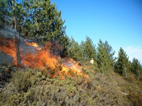 Հրդեհ Կապան քաղաքում