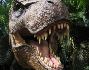 Ученые обнаружили останки зубов динозавра возрастом около 81 млн лет (фото)