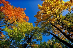 Օդի ջերմաստիճանը հոկտեմբերի 11-ի գիշերը կնվազի 3-4 աստիճանով