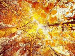 Օդի ջերմաստիճանը 13-ի գիշերը կբարձրանա 2-3 աստիճանով