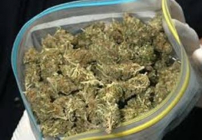 Դրամապանակից հայտնաբերվել է 12 տոպրակներով փաթեթավորված կանեփանման զանգված