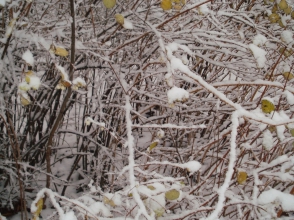 Սպասվում են ձյան տեսքով տեղումներ