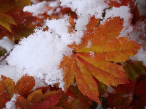 Օդի ջերմաստիճանը դեկտեմբերի 6-ի գիշերը կնվազի 2-4 աստիճանով