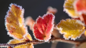 Օդի ջերմաստիճանը կբարձրանա 2-3 աստիճանով