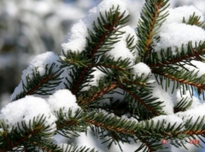 Օդի ջերմաստիճանը 14-15-ին գիշերը կբարձրանա 2-4 աստիճանով