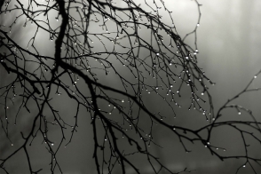 Օդի ջերմաստիճանն աստիճանաբար կնվազի