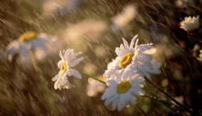 Սպասվում են կարճատև անձրև և ամպրոպ