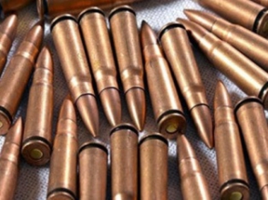 Հավաքարարները ինքնաձիգի 49 փամփուշտ են գտել