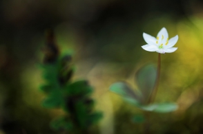 Օդի ջերմաստիճանը 29-30-ը կնվազի 3-4 աստիճանով