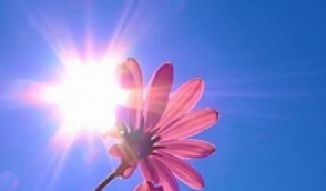 Ինչպես դիմակայել շոգին