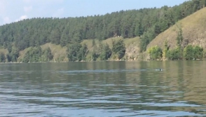 В водах уральского озера Тургояк замечен гигантский черный змей (видео)