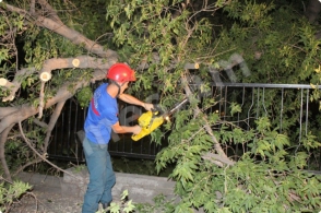 Ծառի ճյուղերը պոկվել և ընկել են էլ. լարերի և գազատար խողովակների վրա