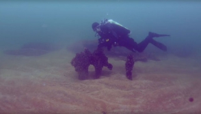 На дне Балтийского моря обнаружили древнее поселение (видео)