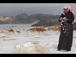 Սաուդյան Արաբիայում տեղացած ձյունը. մարդիկ ցնծում են, սահում բլուրներից