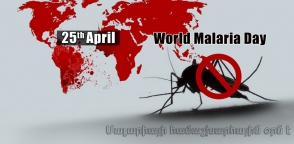 Մալարիայի համաշխարհային օրն է