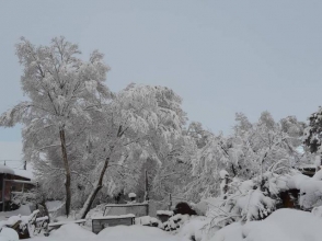 Օրվա կադր․ Ամասիան այսօր առավոտյան