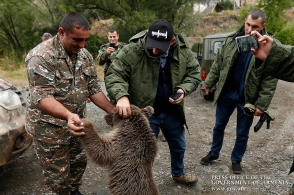 Խաղաղության այլընտրանքը կատաստրո՞ֆան է (տեսանյութ)