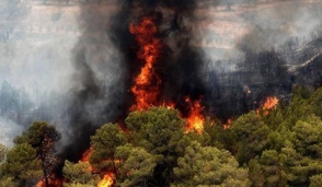 Նորաբաց գյուղում մոտ 3 հա խոտածածկույթ է այրվել