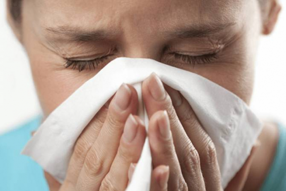 Հայաստանում գրիպի սեզոնին սպասվում են H1N1, H3N2 ենթատեսակներն ու B տեսակը