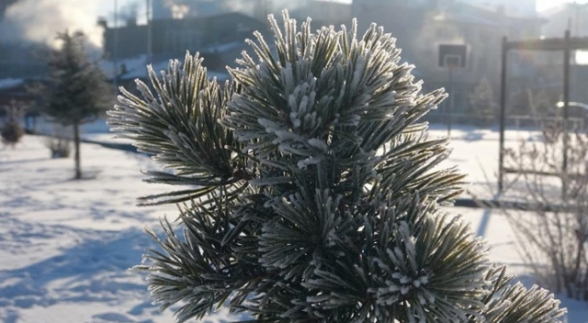 Արդահանը վերածվել է սառցե քաղաքի