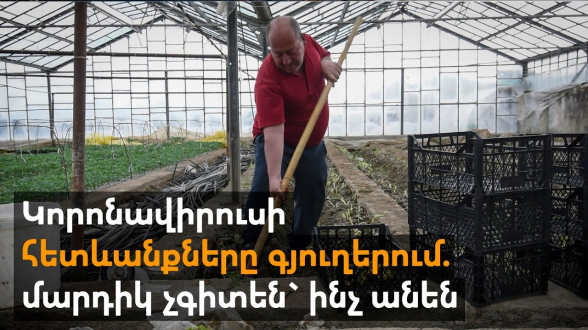 «Пусть Пашинян узнает, как тяжело нам живется»: коронавирус застал фермеров врасплох (видео)