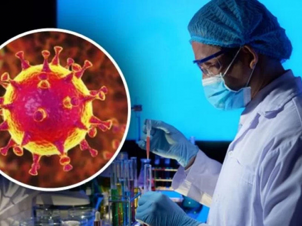 Солнце и влажность убивают коронавирус – ученые