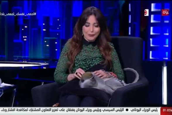Հեռուստատեսային տաղավարում կապիկը հարձակվել է եգիպտացի հաղորդավարի վրա (տեսանյութ)