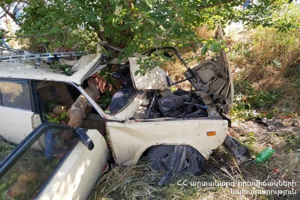 Բուրաստան գյուղում «ՎԱԶ-2102» մակնիշի ավտոմեքենան դուրս է եկել ճանապարհի երթևեկելի հատվածից և բախվել ծառին (տեսանյութ)