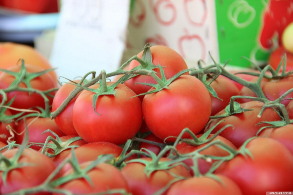 Казахстан пригрозил РФ ответными мерами из-за ограничения ввоза томатов
