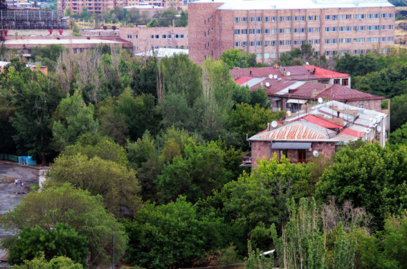 Հենց հիմա ջարդում ու վերացնում են ծառերը, կանաչ տարածքը․ ահազանգ «Ֆիզգորոդոկից» (տեսանյութ)