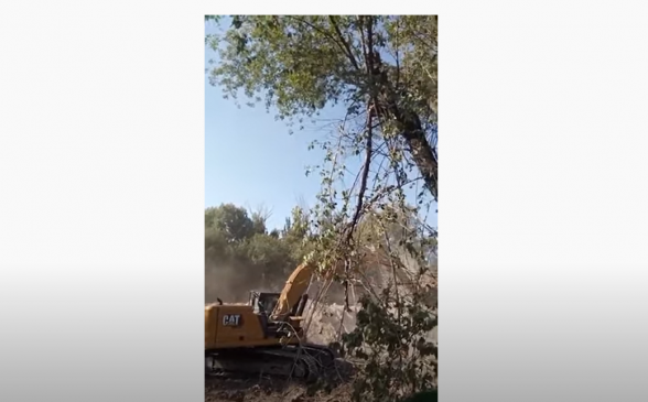 В «Физгородке» вырубили 50-летние деревья